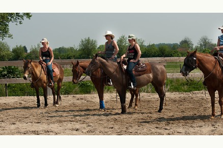 Guesthouse Ride by the Sea op 800 meter van het Walcherse strand van Dishoek VMP060